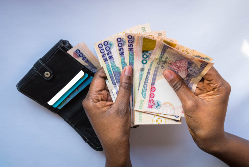 Hands counting money naira notes